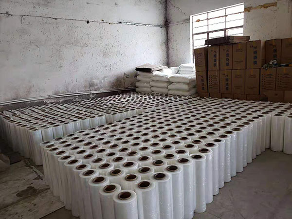 �����p�@Ĥ�ļҺ�